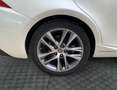 Lexus IS 300 Hybrid Executive Alb - thumbnail 15
