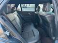 Mercedes-Benz E 250 T-Modell E 250 BlueTec 4Matic Kamera Navi Gris - thumbnail 24