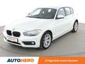 BMW 116 116i Advantage *TEMPO*PDC*SHZ*ALU*KLIMA* Blanco - thumbnail 1