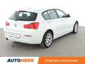 BMW 116 116i Advantage *TEMPO*PDC*SHZ*ALU*KLIMA* Blanco - thumbnail 6