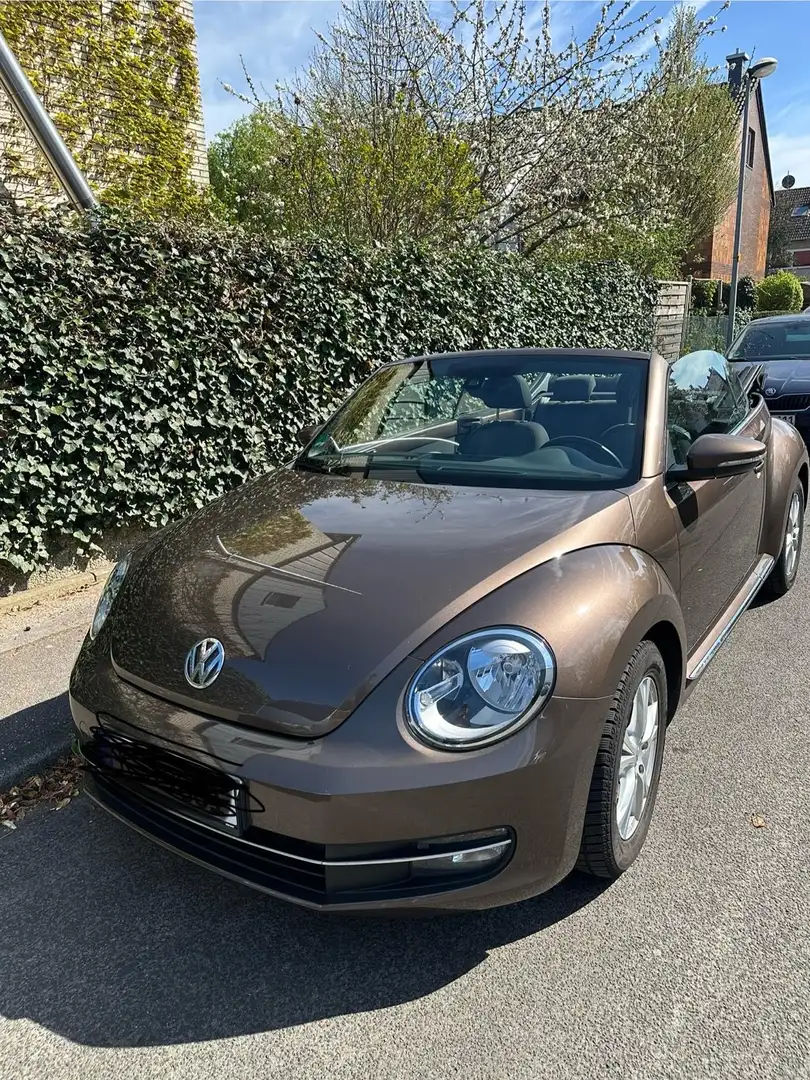 Volkswagen Beetle Cabriolet Design 1,2l TSI Braun - 1