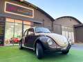 Volkswagen Maggiolino Maggiolino 1.2 L *OFFERTA DI NATALE* Braun - thumbnail 19