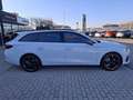 CUPRA Leon Sportstourer 1.5 eTSI DSG Weiß - thumbnail 6