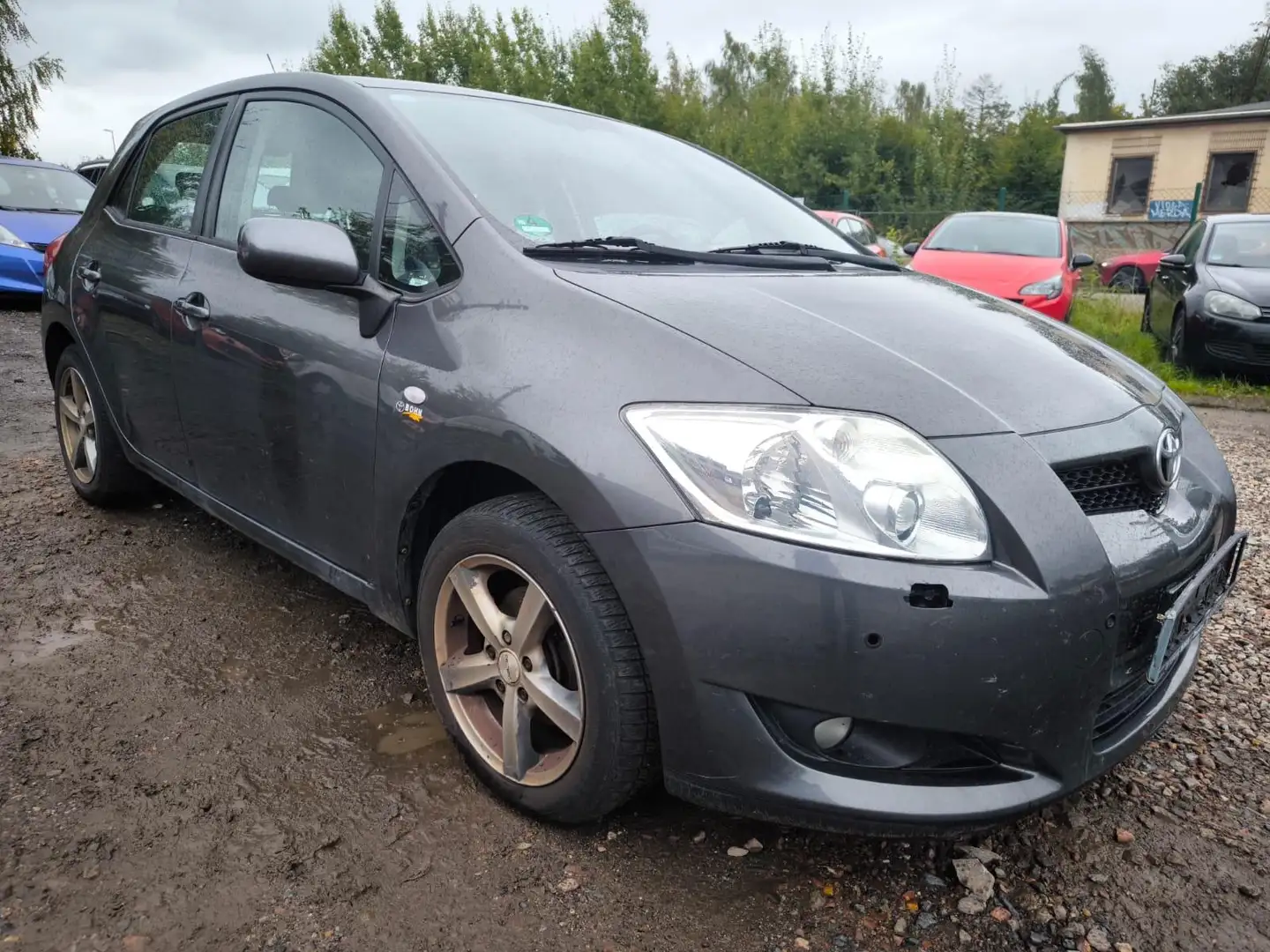 Toyota Auris Executive 1.6 16V Motor startet nicht Gris - 1
