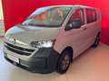 Volkswagen T7 Transporter VW Transporter T7 Kastenwagen Plus TDI Grau - thumbnail 1