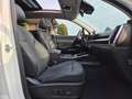 Kia Sorento 2.2 crdi Evolution 4wd dct8 7 Posti Full Optional Weiß - thumbnail 10