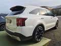 Kia Sorento 2.2 crdi Evolution 4wd dct8 7 Posti Full Optional Weiß - thumbnail 5