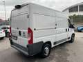 Fiat Ducato 2.3 mjt prezzo piu iva Blanc - thumbnail 6