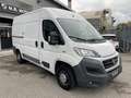 Fiat Ducato 2.3 mjt prezzo piu iva Blanc - thumbnail 3