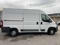 Fiat Ducato 2.3 mjt prezzo piu iva Blanc - thumbnail 7
