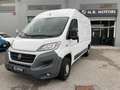 Fiat Ducato 2.3 mjt prezzo piu iva Blanc - thumbnail 1