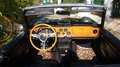 Triumph TR6 SPIDER Verde - thumbnail 5