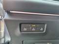 Volkswagen Tiguan 2.0 TDI 193 PS 4Motion R-Line AHV. IQ.Light, Pano. Rot - thumbnail 10
