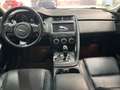 Jaguar E-Pace /Leder/Navi/AppleCarPl./Black Pack/Kamera Blanc - thumbnail 13