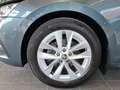 Skoda Octavia Style TDI DSG Grau - thumbnail 15