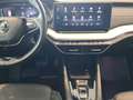 Skoda Octavia Style TDI DSG Grau - thumbnail 12
