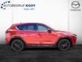 Mazda CX-5 2.0 165pk Homura AUTOM. Leder Rouge - thumbnail 5