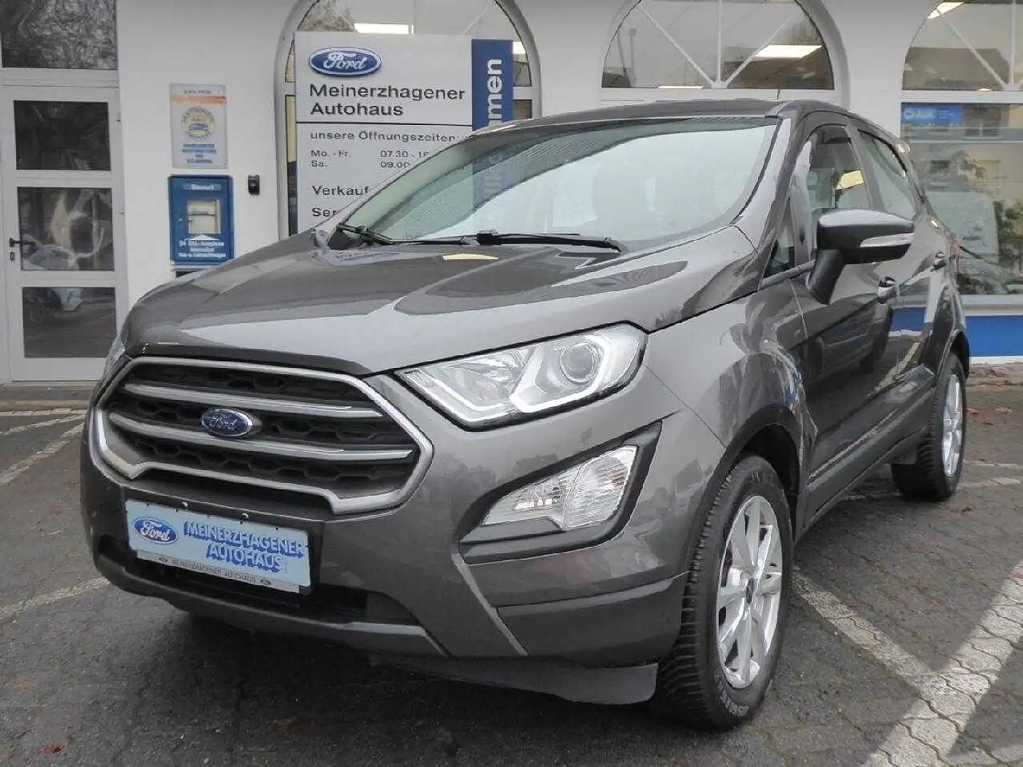 Ford EcoSport Trend Grau - 1