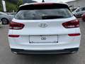 Hyundai i30 - PD GO Plus 1.0 TGDI DCT c5ku3 Weiß - thumbnail 9