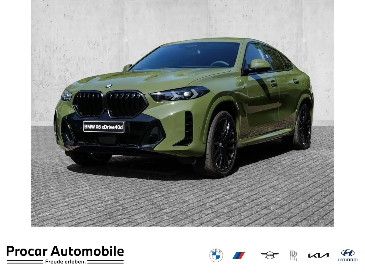 BMW X6