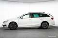 Skoda Octavia Combi TSI Selection Aut. 17" ASSISTENZ R-KAM Weiß - thumbnail 3