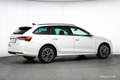 Skoda Octavia Combi TSI Selection Aut. 17" ASSISTENZ R-KAM Weiß - thumbnail 36