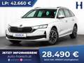 Skoda Octavia Combi TSI Selection Aut. 17" ASSISTENZ R-KAM Weiß - thumbnail 1
