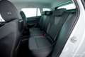 Skoda Octavia Combi TSI Selection Aut. 17" ASSISTENZ R-KAM Weiß - thumbnail 7