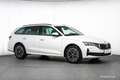 Skoda Octavia Combi TSI Selection Aut. 17" ASSISTENZ R-KAM Weiß - thumbnail 38