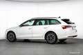 Skoda Octavia Combi TSI Selection Aut. 17" ASSISTENZ R-KAM Weiß - thumbnail 42