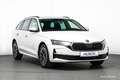 Skoda Octavia Combi TSI Selection Aut. 17" ASSISTENZ R-KAM Weiß - thumbnail 39