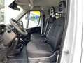 Fiat Ducato Pritsche Doppelk. L4 Pritsche Blanco - thumbnail 8