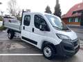 Fiat Ducato Pritsche Doppelk. L4 Pritsche Blanco - thumbnail 6