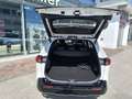Suzuki Across PLUG-IN HYBRID Automatik Weiß - thumbnail 7