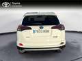 Toyota RAV 4 RAV4 5P Advance 200H e-CVT (AWD-i) - thumbnail 4