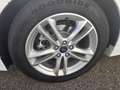 Ford Mondeo 2.0TDCI Trend PowerShift 150 - thumbnail 5