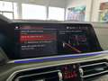 BMW X5 xDrive40d Azul - thumbnail 31