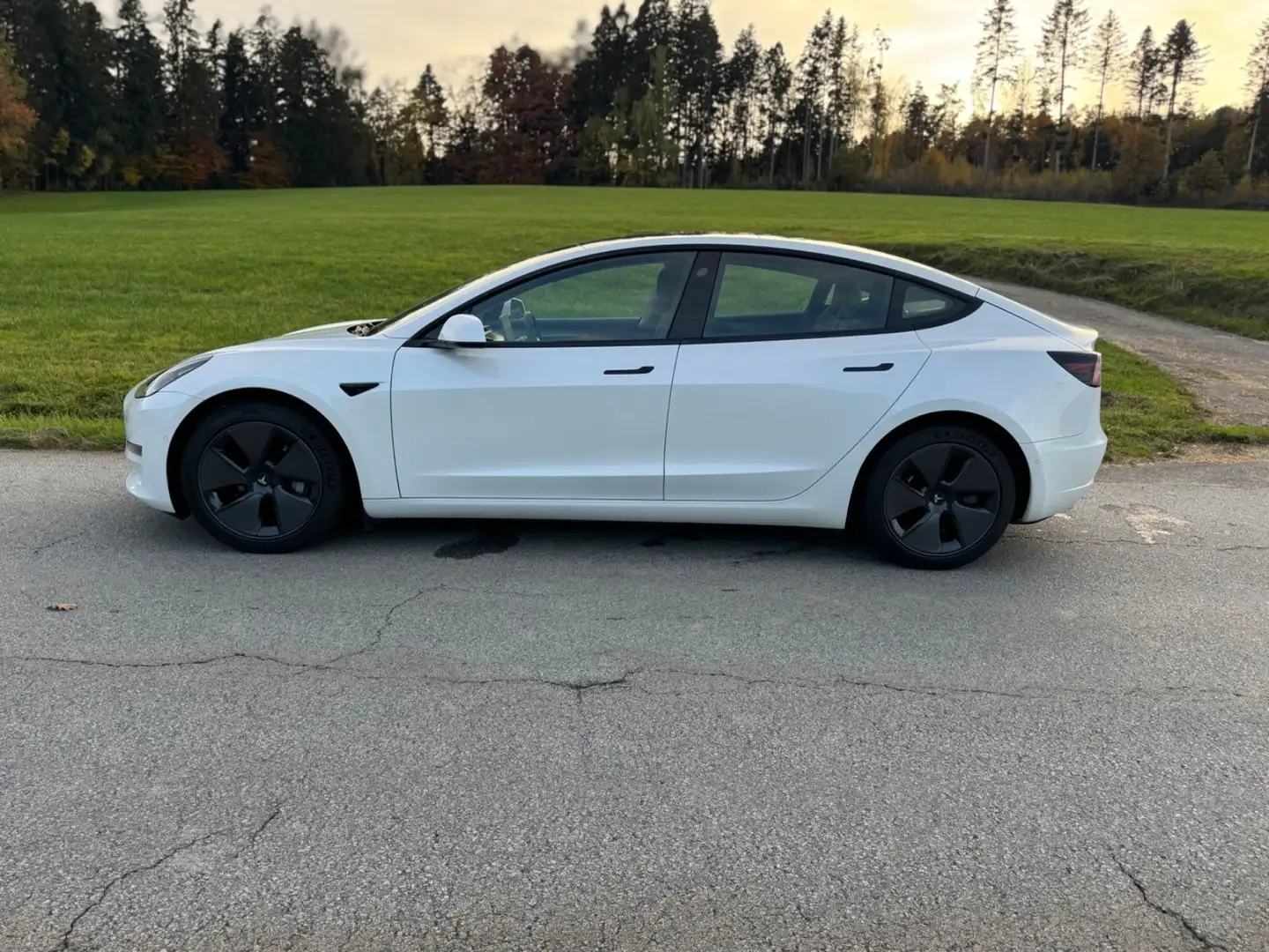 Tesla Model 3 Long Range Dual AWD 1 HAND MWST TOP AUTO Weiß - 2