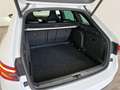 Skoda Superb 4x4 Sportline TDI DSG Weiß - thumbnail 15