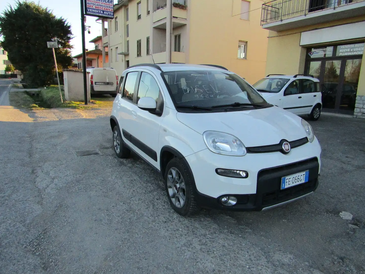 Fiat Panda Panda 1.3 mjt 16v 4x4 s Blanc - 2