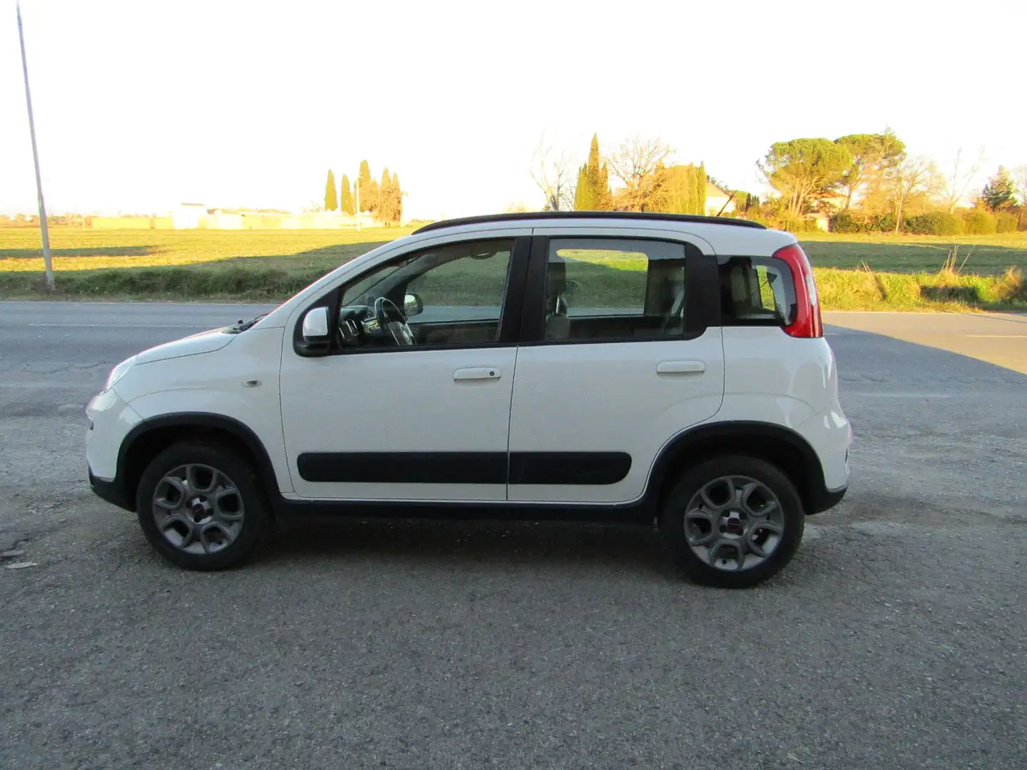 Fiat Panda Panda 1.3 mjt 16v 4x4 s Blanc - 1