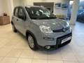 Fiat Panda 1.0 FireFly S&S Hybrid Grigio - thumbnail 7
