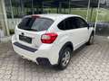 Subaru XV 2,0 Diesel Allrad (147 PS) Weiß - thumbnail 3