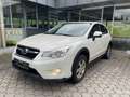 Subaru XV 2,0 Diesel Allrad (147 PS) Weiß - thumbnail 1