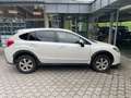 Subaru XV 2,0 Diesel Allrad (147 PS) Weiß - thumbnail 4