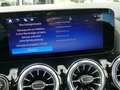 Mercedes-Benz B 220 B 220 4M Progressive R-Kamera+LED-Scheinw+Ambien Silber - thumbnail 28