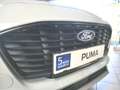 Ford Puma 1,0 EcoBoost Hybrid Titanium Gris - thumbnail 6