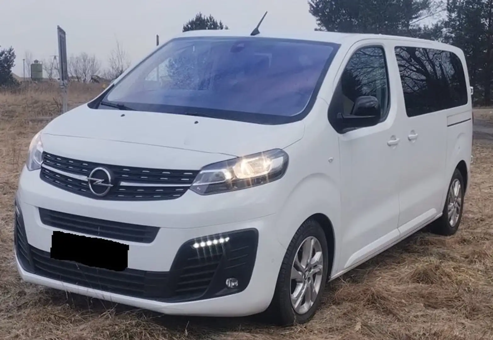 Opel Vivaro Vivaro*DoKa*Standheizung*AHK+Kamera*5-Sitzer*PDC+ Alb - 1