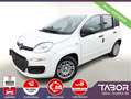 Fiat Panda MHEV 70 5"-DAB Temp PDC DigCo LaneA 5-Sitz Bianco - thumbnail 1