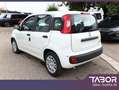 Fiat Panda MHEV 70 5"-DAB Temp PDC DigCo LaneA 5-Sitz Bianco - thumbnail 4